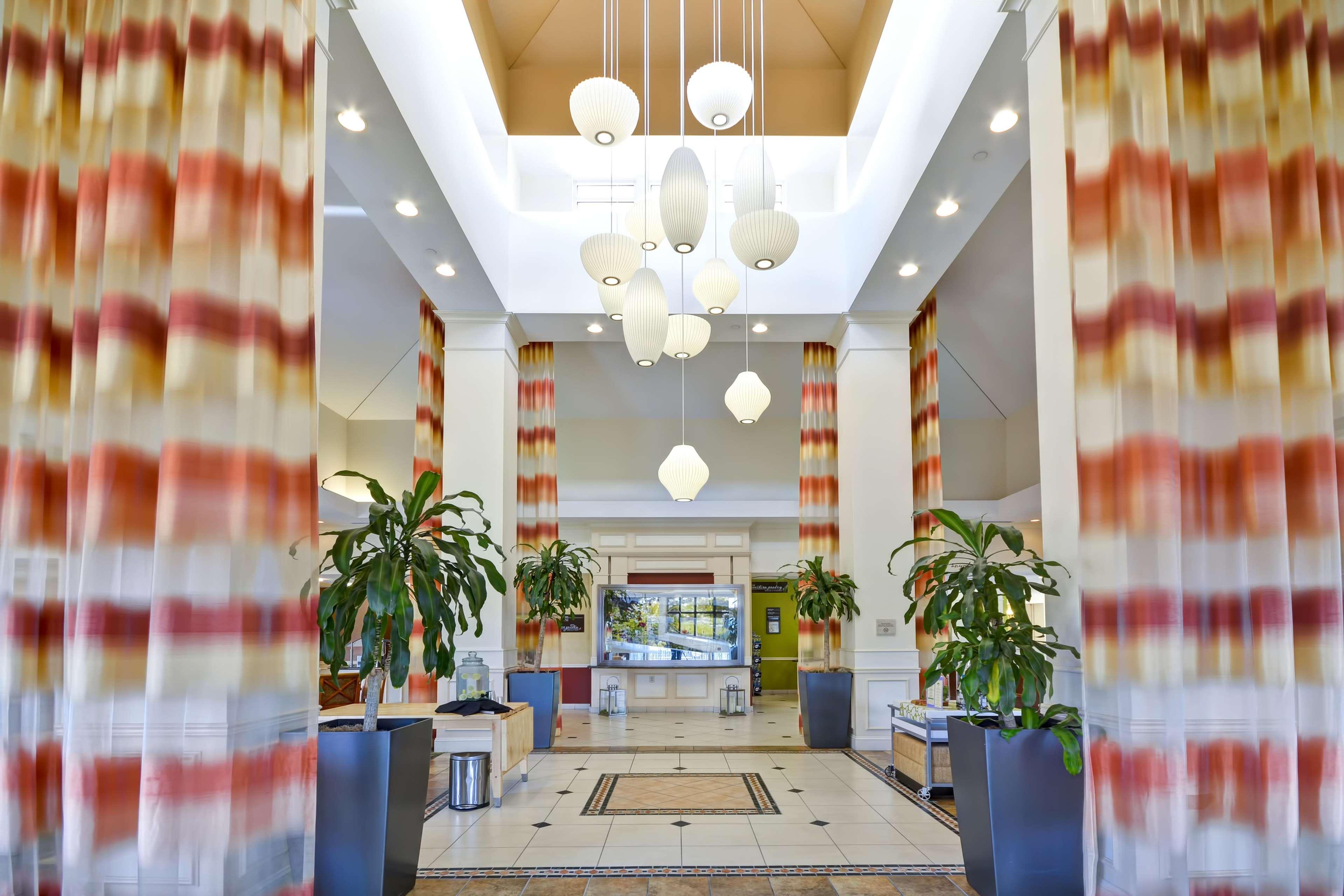 Hilton Garden Inn Tampa Riverview Μπράντον Εξωτερικό φωτογραφία